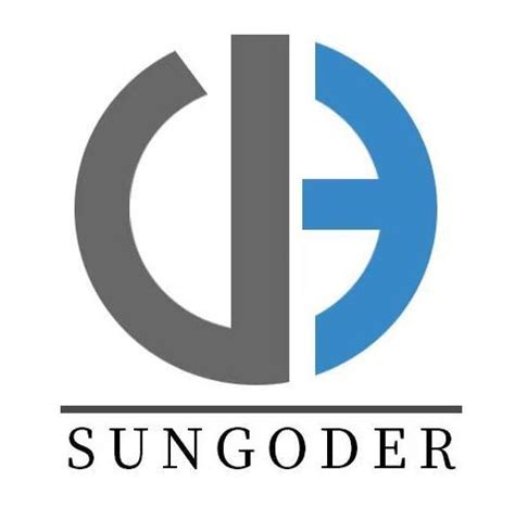 SUNGODER Watches,Classic Watches for Women Analog Quartz Watch Stainle ...