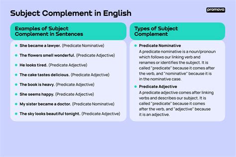 What's a Subject Complement: Definition & Examples | Promova