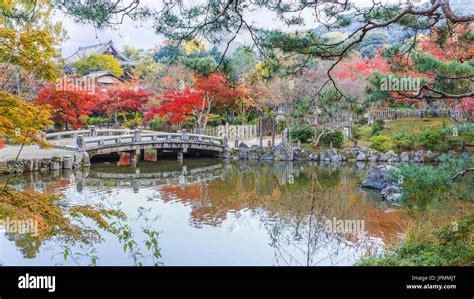 Colorful Autumn at Maruyama Koen (Maruyama Park) in autumn, in Kyoto, Japan Stock Photo - Alamy