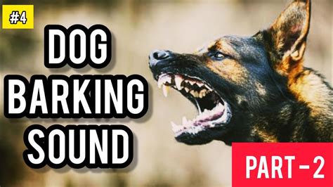 Dog barking sound effect | Dog barking sound - 4 | Free sound effects for you | ANGRY DOGS ...