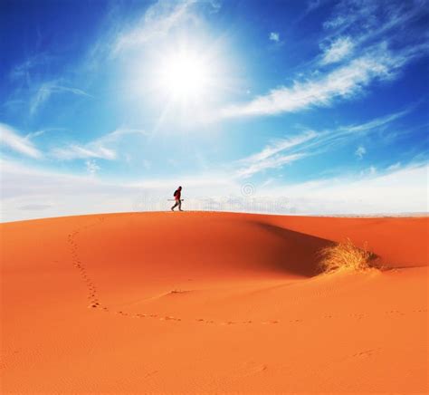 Hike in desert stock image. Image of travel, male, hiker - 8149713