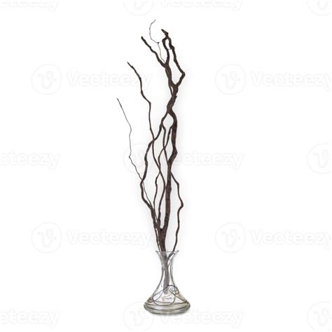 The bouquet of flowers for interior decorating in ceramic vase is isolated on the plain ...
