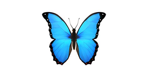 🦋 Butterfly Emoji — (4) Meanings, Copy & Paste