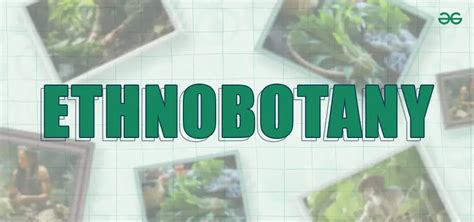 Ethnobotany: Definition, Importance and Scope of Ethnobotany - GeeksforGeeks