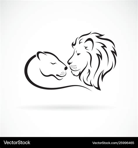 Male lion and female lion design on white Vector Image