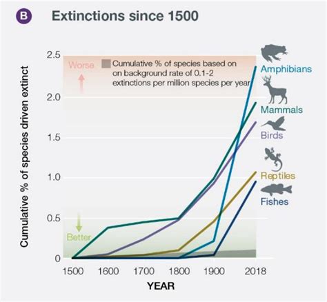 1 million species face extinction: the United Nations IPBES biodiversity report, explained - Vox