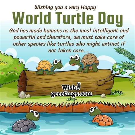 World Turtle Day Wishes Messages Quotes - Wish Greetings