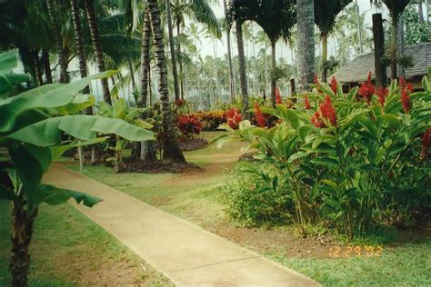 National Tropical Botanic Garden Kauai Hawaii | Kauai hawaii, Kauai, Hawaii