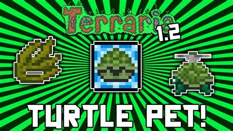 Terraria 1.2: How to get the Turtle Pet! (Seaweed Summoning Item) @demizegg - YouTube