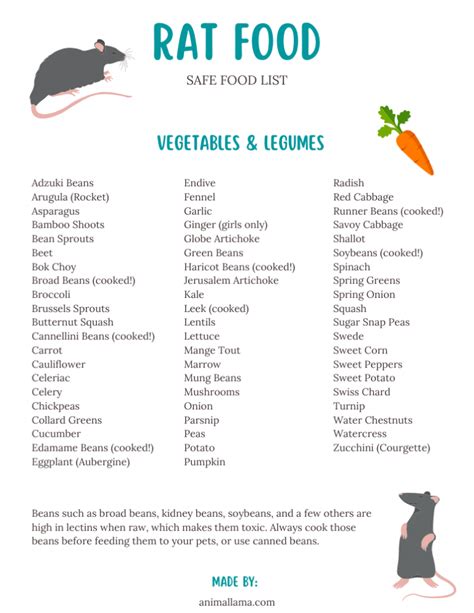 Safe Rat Food List: Veggies, Fruits, Nuts, Seeds, Herbs, Protein & More