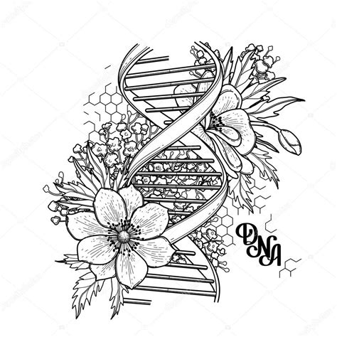 Dna Coloring Pages