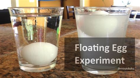 Egg Floating In Water Experiment