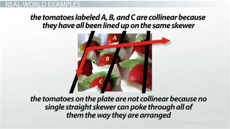 Collinear Points in Geometry | Definition & Examples - Lesson | Study.com