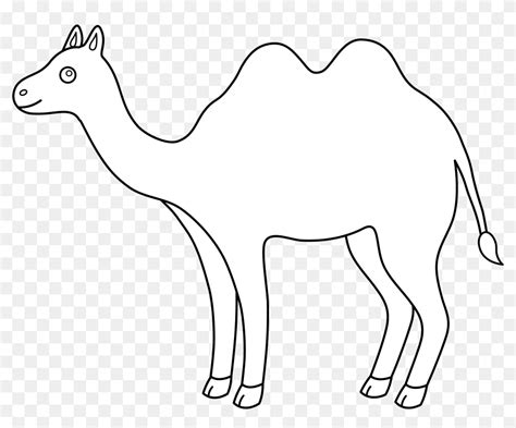 Colorable Outline Camel Free Clip Art Car Pictures - Outline Drawing ...