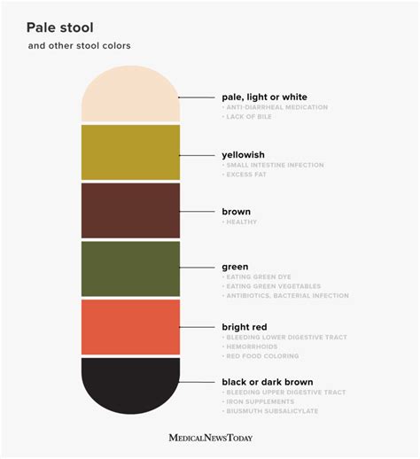 Does Yellow Poop Mean Infection? Understanding Digestive Health