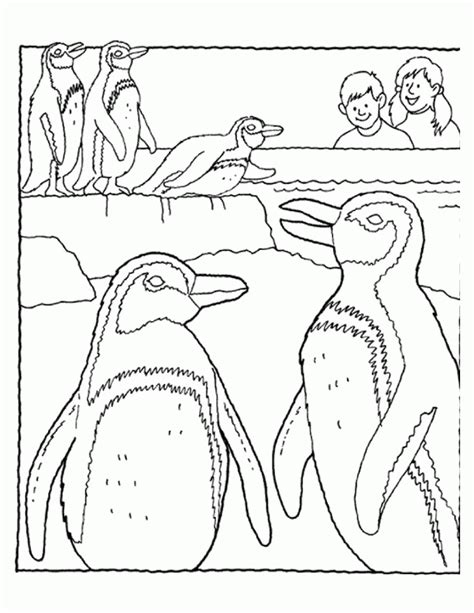 penguin habitat coloring sheet - Clip Art Library