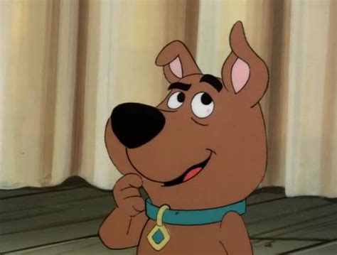 Scrappy-Doo | Scrappy doo, Cartoon, Scooby doo