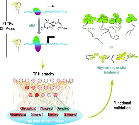 Gene Regulation (@Gene_Regulation) | Twitter