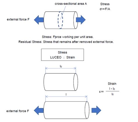 What is Strain? – Luceo Co., Ltd.