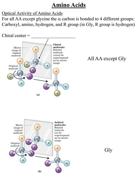 PPT - Amino Acids, Peptides, Proteins PowerPoint Presentation, free ...