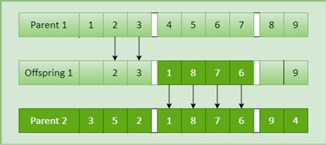 Diagram representation of two-point crossover | Download Scientific Diagram