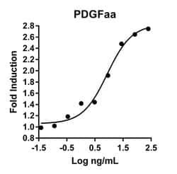 Proteintech™ HumanKine™ Recombinant Human PDGFaa Protein: Proteínas A-Z Proteínas | Fisher ...