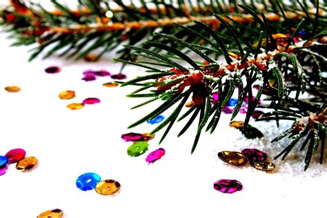 Free Images : branch, snow, needle, line, christmas tree, snowflake, christmas decoration, twigs ...