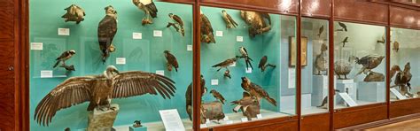 Natural History Museum London World-Renowned Museum