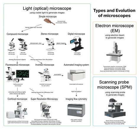 Different types of Microscopes – light microscope, electron microscope, scanning probe ...