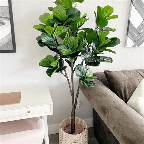 Fake Fiddle Leaf Fig Tree Ikea at Taylor Jones blog