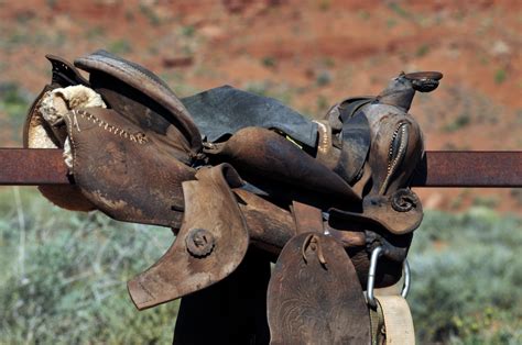 Saddle Free Stock Photo - Public Domain Pictures