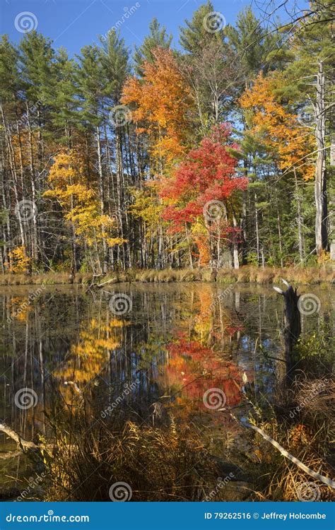 Reflections of Bright Fall Foliage in Plymouth, New Hampshire. Stock Photo - Image of leaves ...