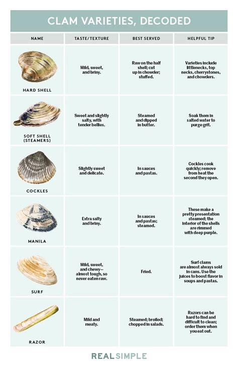 6 Types of Clams and How They Are Best Served | Clam recipes, Clams, Food facts