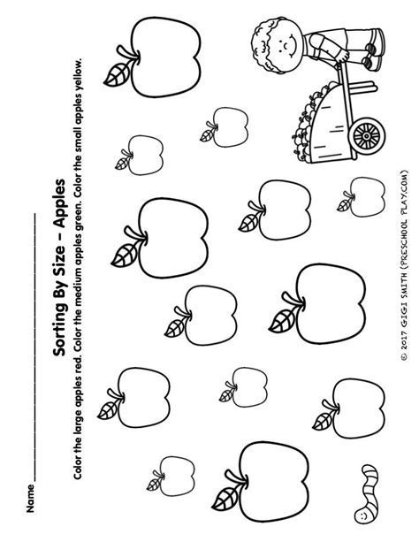 Sorting By Size Worksheet