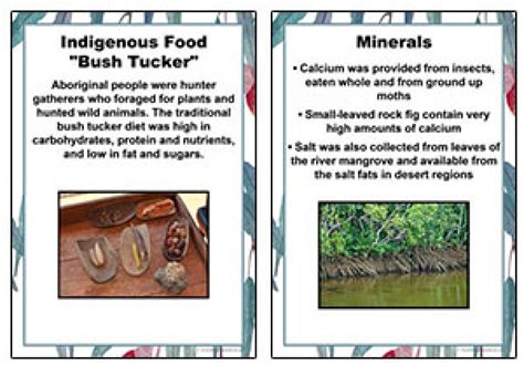 Bush Tucker Posters - Aussie Childcare Network