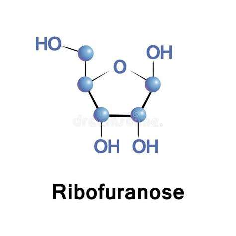 Ribose Molecular Structure Isolated On Black Stock Illustration ...