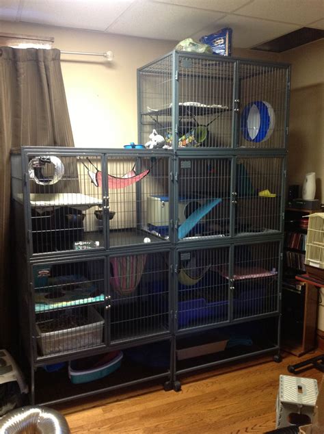 Awesome 25 Best Ferret Cages https://meowlogy.com/2018/03/31/25-best-ferret-cages/ Ferrets need ...