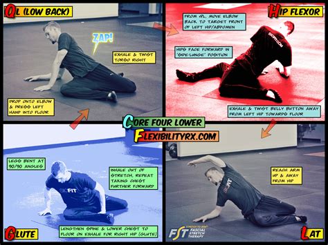 The Stretch to Win Core-Four Lower | FlexibilityRx - Performance Based ...