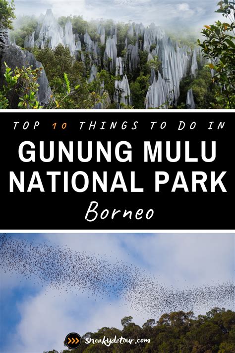 The renowned UNESCO World Heritage Site Gunung Mulu National Park is ...