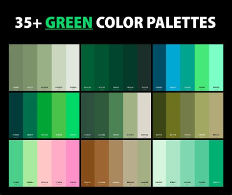 35+ Best Green Color Palettes with Names and Hex Codes – CreativeBooster