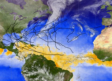 The Atlantic Ocean's Hurricane Season Peaks From - ocean wildlife list