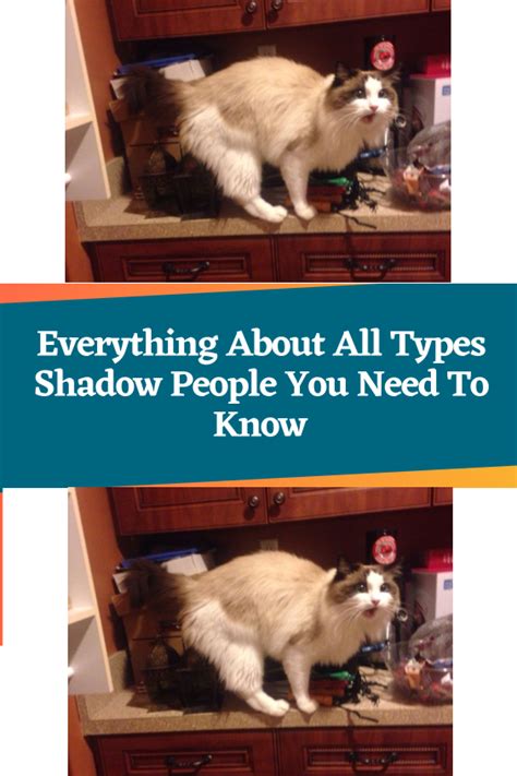 Everything about all types shadow people you need to know – Artofit