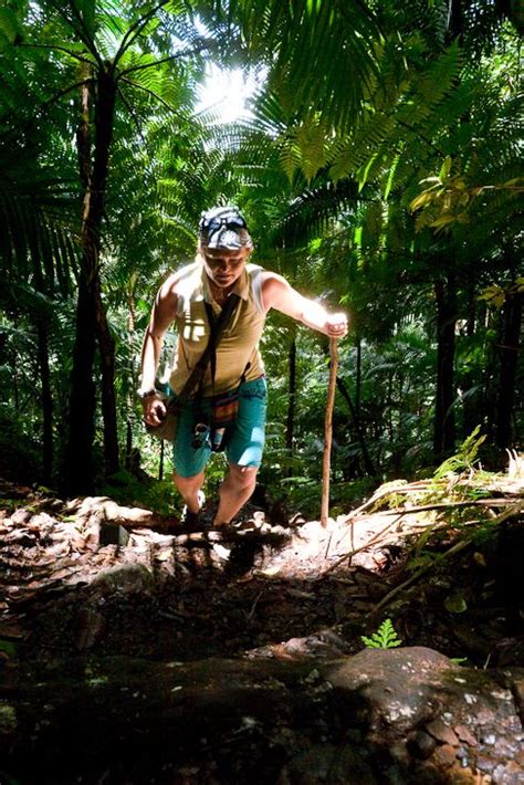 Mount Liamuiga Volcano Hike in St. Kitts | Travel obsession, North america travel, United states ...