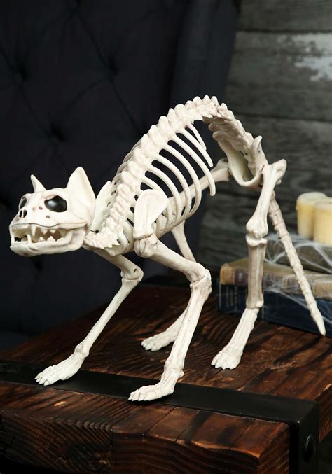 Skeleton Cat Decoration | Halloween Animal Skeleton Prop