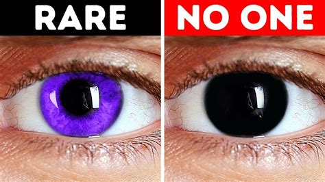 Why Don't Humans Have Purple Eyes?+ Other Body Facts! - YouTube