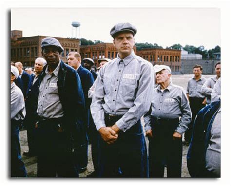 (SS3421171) Movie picture of The Shawshank Redemption buy celebrity photos and posters at ...