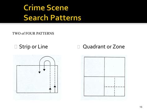 Types Of Crime Scene Search Patterns