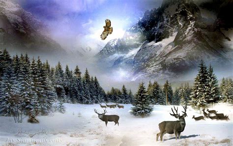 Free Wallpaper Deer in Snow - WallpaperSafari