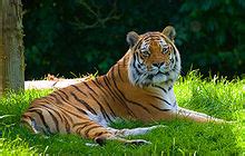 Banham Zoo - Wikipedia