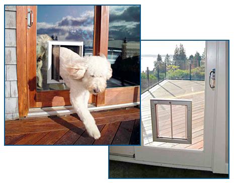 Sacramento Dog Door Installation - Call us at 916-472-0507!